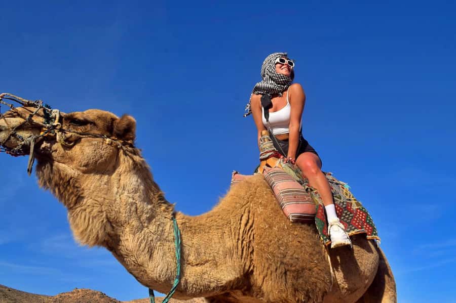 Hurghada: Desert Quad, Bedouin Village, and Camel Ride Tour - Key highlights worth your attention