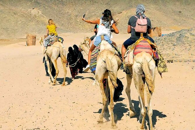 Hurghada Desert Safari Experience, ATV Quad, Camel Ride & Dinner - ATV Quad vs. the Big Desert Feel