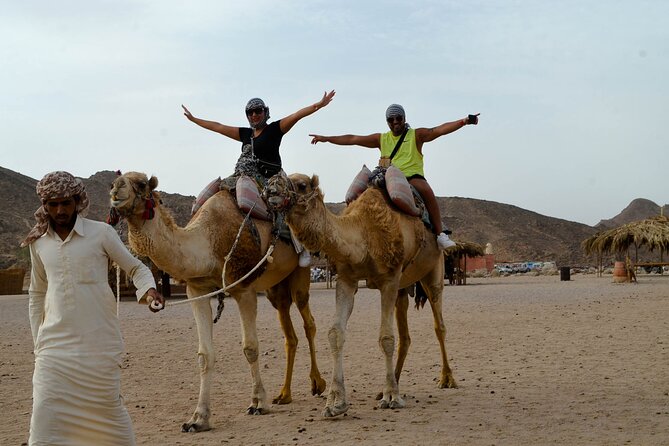 Hurghada Desert Safari on Quad Bikes With Camel for 3 Hours - Who This Safari Is Best For (and Who Should Rethink)