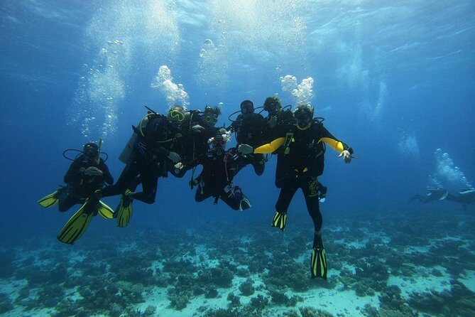Hurghada Diving Adventure one Day with two Dives Boat Trip - Lunch and Drinks On Board: A Small Detail That Changes the Whole Day
