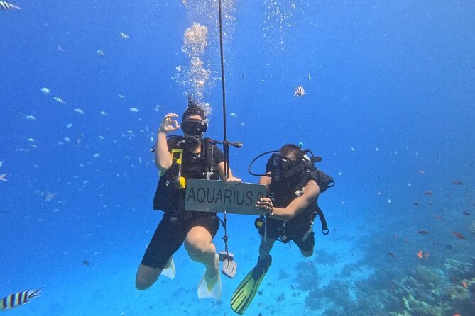 Hurghada Diving Adventure one Day with two Dives Boat Trip - Costs That Add Up: Equipment, Park Fees, and Photo Upgrades