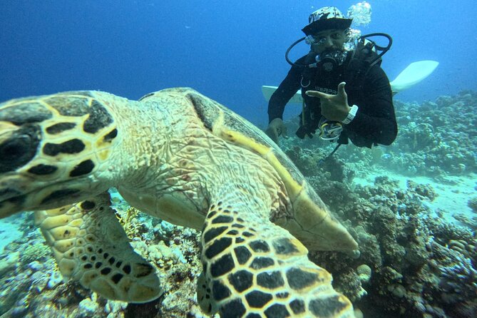 Hurghada Diving Adventure one Day with two Dives Boat Trip - Snorkeling for Non-Scuba Participants and Family-Friendly Rules