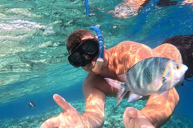 Hurghada Diving Adventure one Day with two Dives Boat Trip - From the Boat: What Two Guided Underwater Sessions Actually Feel Like
