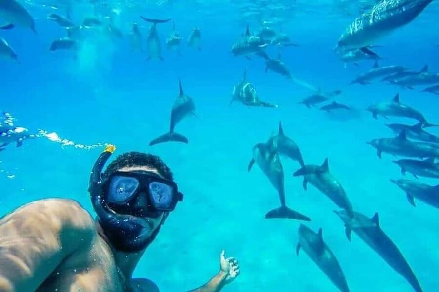 Hurghada: Dolphin & Coral Reef Snorkeling Tour with Lunch - Snorkeling the Coral Reefs With Two Stops and Provided Gear