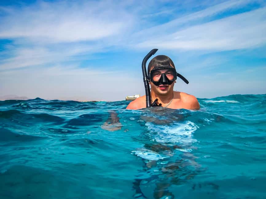 Hurghada: Dolphin & Coral Reef Snorkeling Tour with Lunch - Should You Book This Dolphin and Coral Reef Snorkeling Tour?