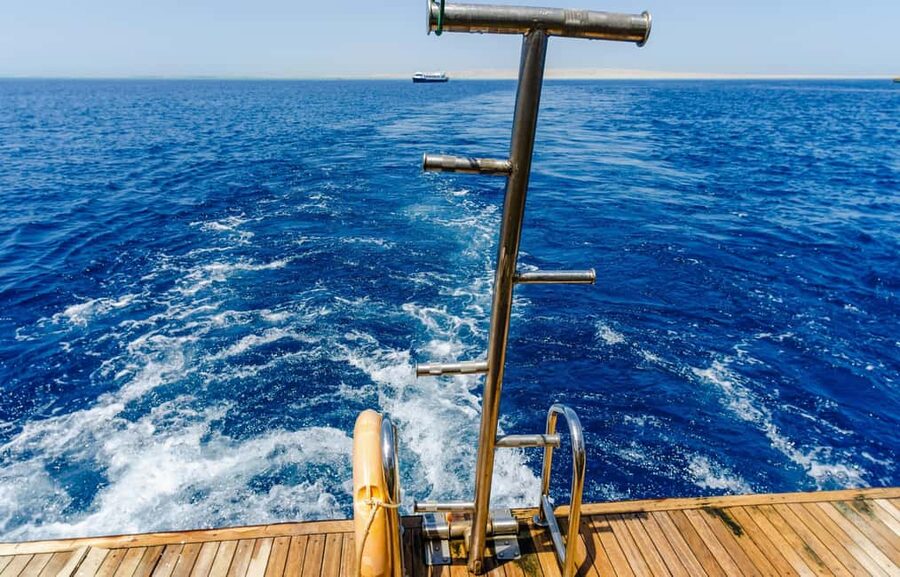 Hurghada: Dolphin & Coral Reef Snorkeling Tour with Lunch - Dolphin Watching in the Red Sea, What It Really Means