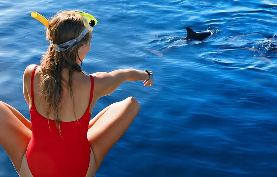 Hurghada: Dolphin Cruise with Snorkeling & Buffet Lunch - Getting to Public Beach No. 9 and the 6 to 7 Hour Pace