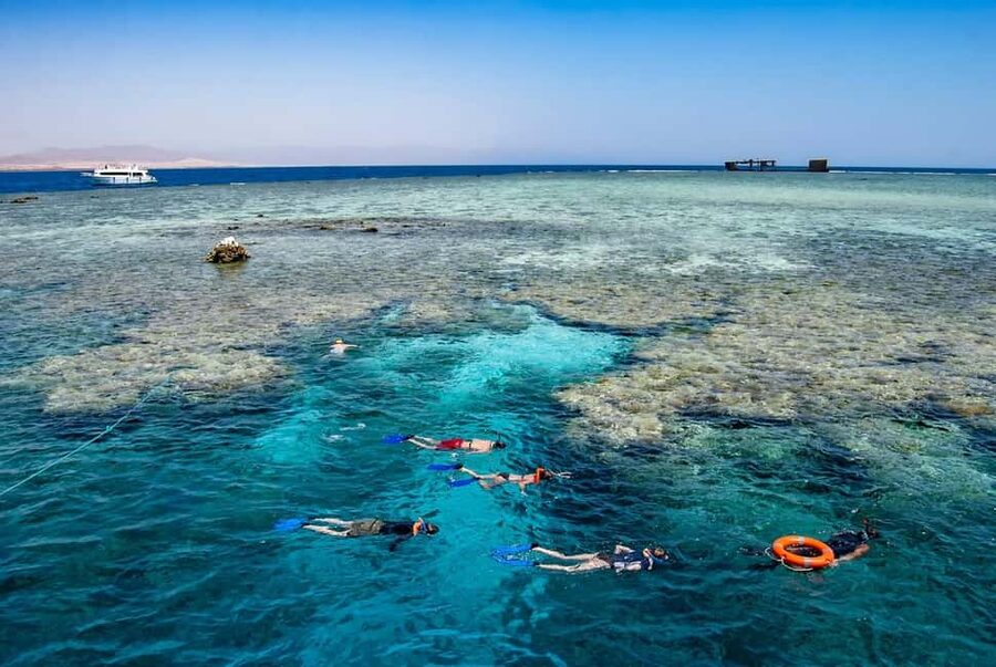 Hurghada: Dolphin Watching Boat Tour with Snorkeling & Lunch - Packing and Prep: Small Things That Prevent Big Annoyances