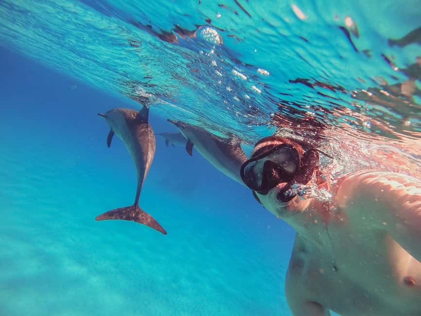 Hurghada: Dolphin Watching Boat Tour with Snorkeling & Lunch - Dolphin Spotting on the Red Sea: What You’re Really Buying