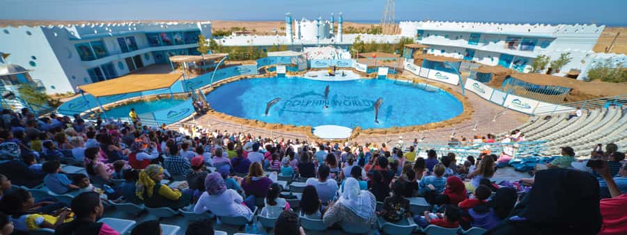 Hurghada: Dolphin World Show with Walruses and Pickup - Key highlights I’d bank on