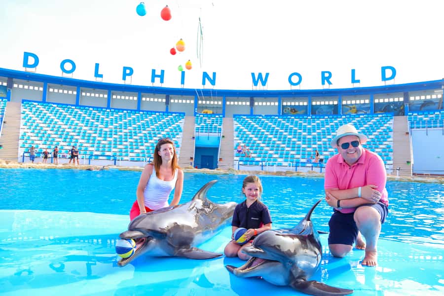 Hurghada: Dolphin World Show with Walruses and Pickup - Seating, sound, and why the training style matters
