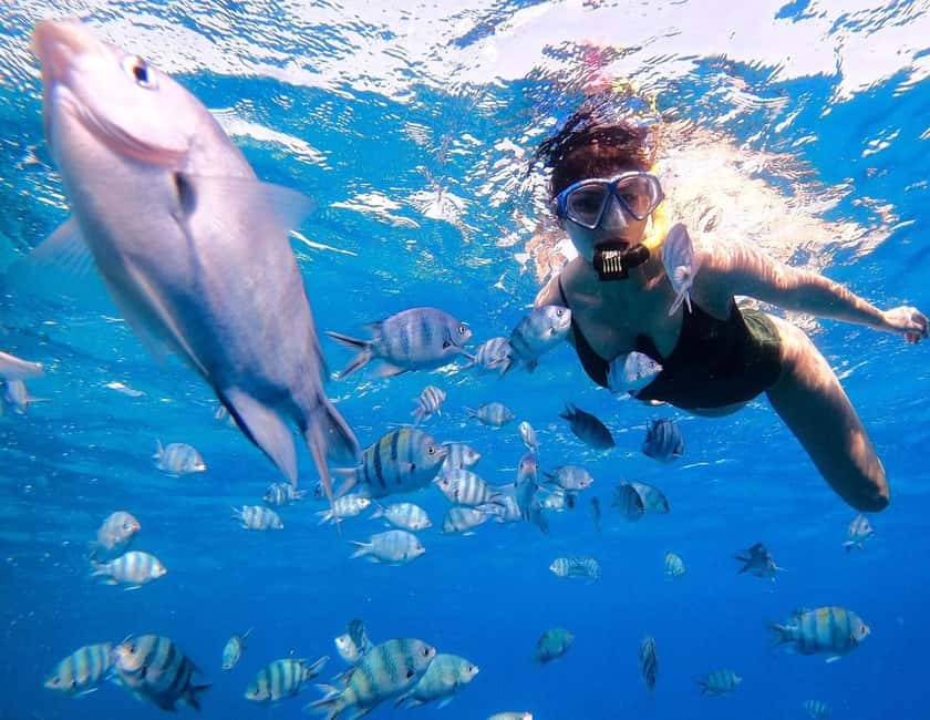 Hurghada:Eden Island Full-Day Trip with Water sports & Lunch - The Red Sea cruise and national park fees that keep it legit