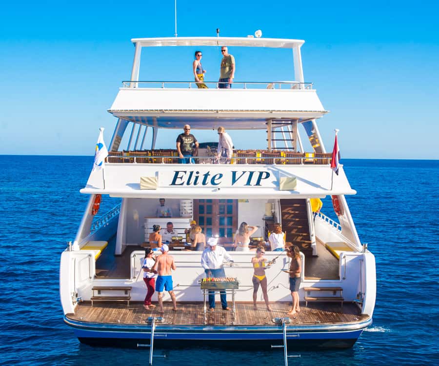 Hurghada: Elite vip snorkeling cruise with BBQ buffet lunch - Dolphins If Possible: The Northward Stretch and Why It Matters