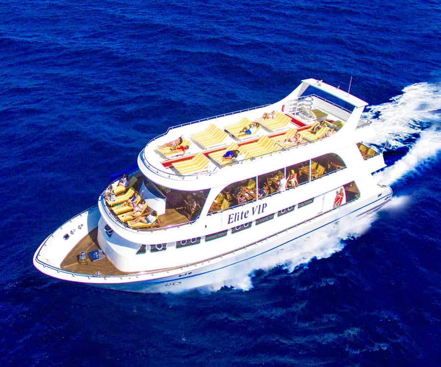 Hurghada: Elite vip snorkeling cruise with BBQ buffet lunch - Guided Snorkeling at Red Sea Reefs: What You Can Expect Under the Water