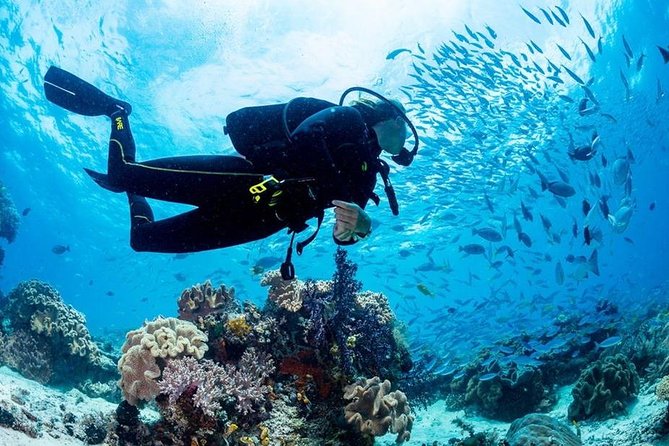 Hurghada: Full-Day Diving Tour with Lunch & Two Dive Sites - Key Points to Know Before You Go