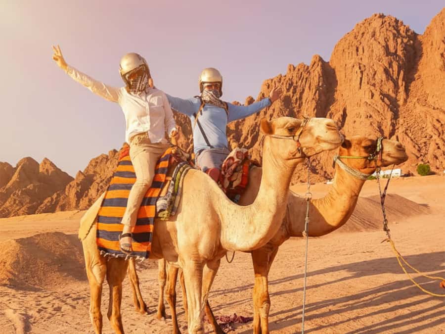 Hurghada: Full-Day Quad & Camel Ride, Stargazing, & Dinner - Key things to love about this Hurghada desert safari