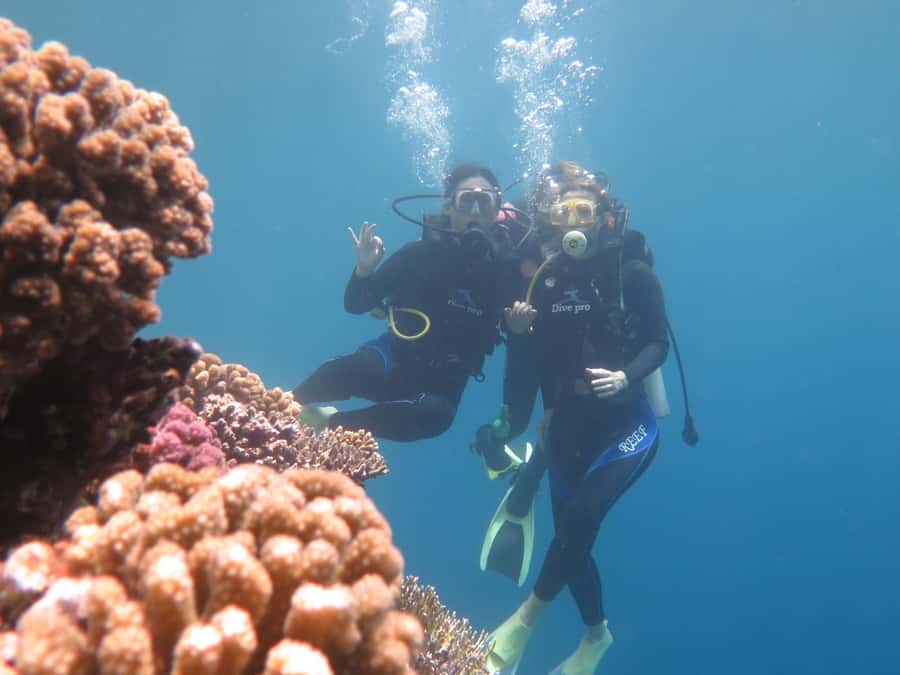 Hurghada: Full-Day Scuba Diving Tour with 2 Sites and Lunch - Key highlights you will actually care about