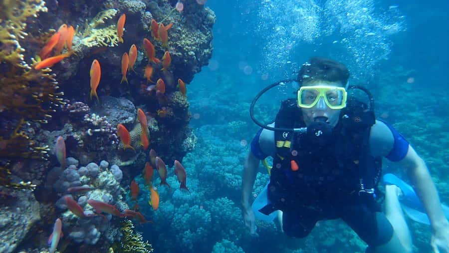Hurghada: Full-Day Scuba Diving Tour with 2 Sites and Lunch - Safety you can feel: clear instruction, calm pacing, and guided control