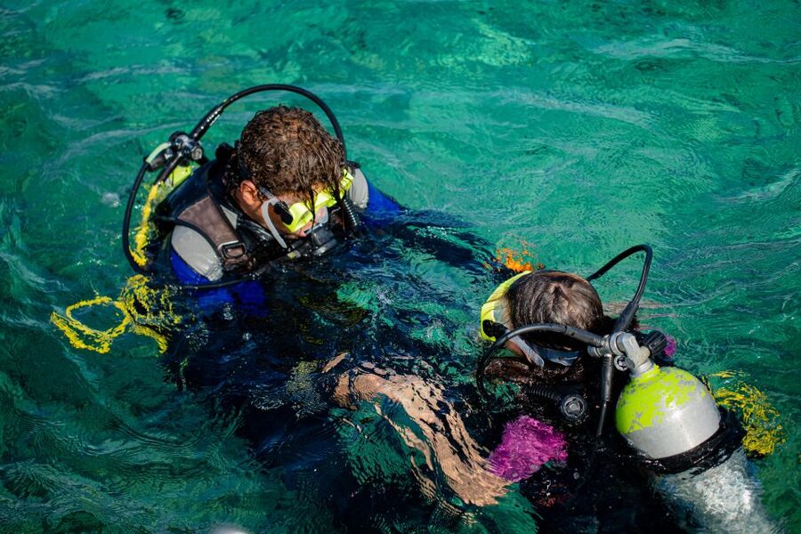 Hurghada: Full-Day Scuba Diving Tour with 2 Sites and Lunch - Lunch on board: the included break that makes the whole day better