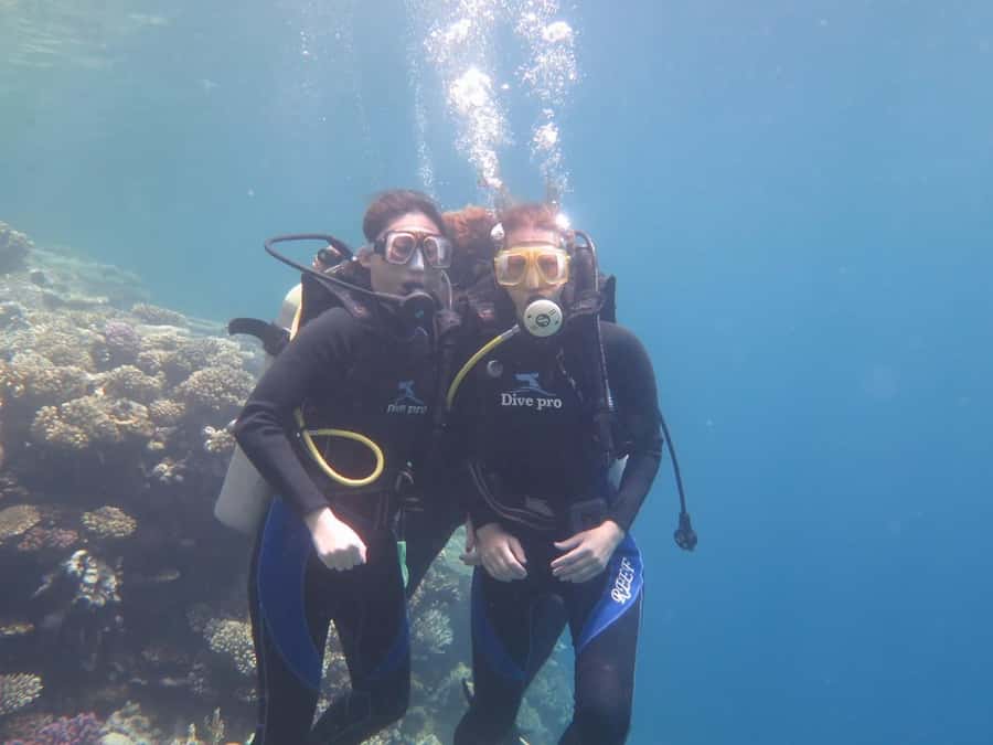 Hurghada: Full-Day Scuba Diving Tour with 2 Sites and Lunch - Picking the right option: beginner, non-swimmer support, or certified support