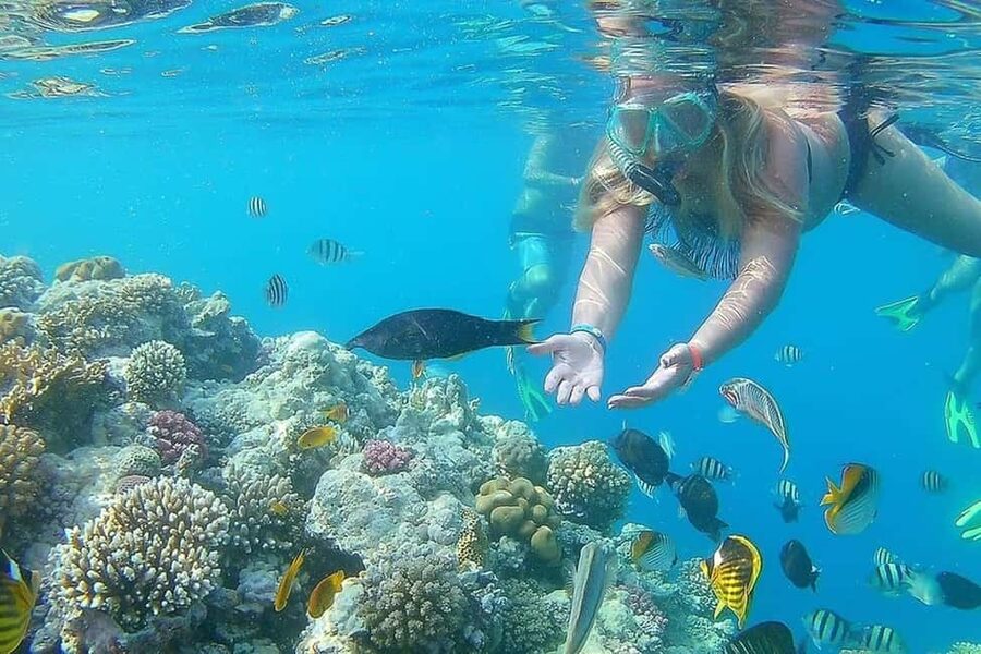 Hurghada: Full-Day Snorkeling Tour in Sharm El Naga w/Lunch - Lunch with bay views, included Egyptian comfort