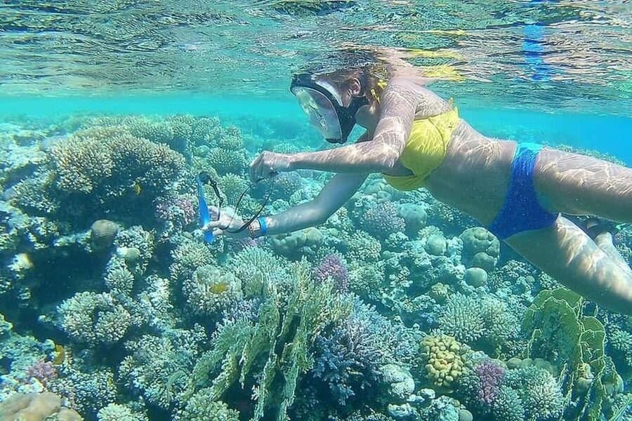 Hurghada: Full-Day Snorkeling Tour in Sharm El Naga w/Lunch - Price and value check, what $75 buys you in real terms