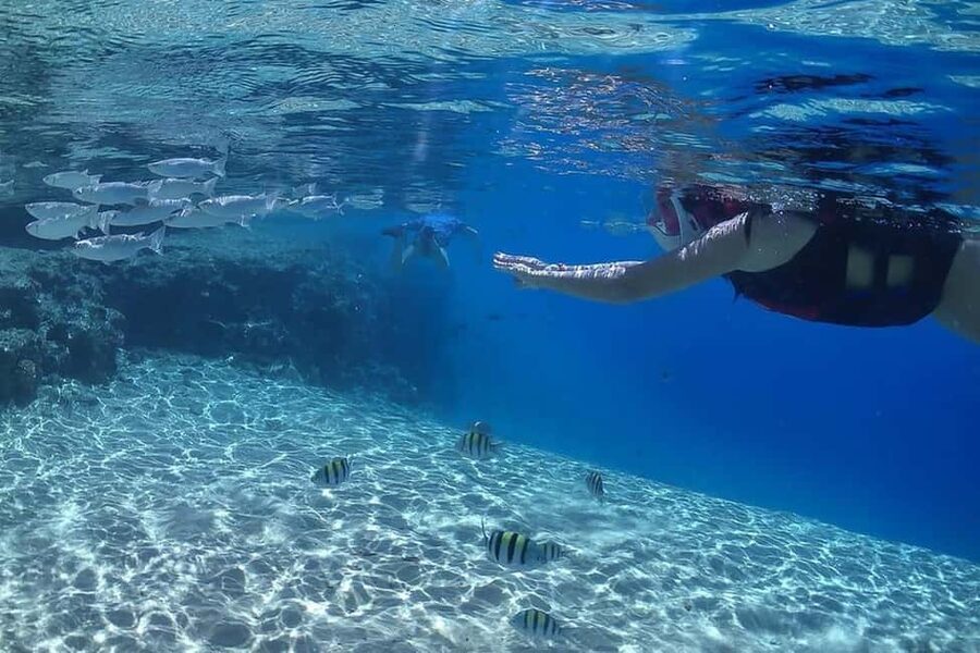 Hurghada: Full-Day Snorkeling Tour in Sharm El Naga w/Lunch - Should you book Hurghada to Sharm El Naga?