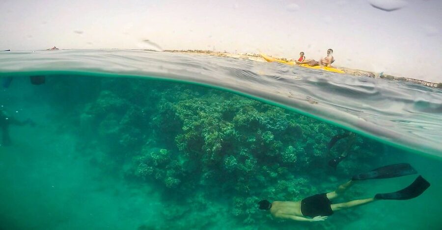 Hurghada: Full-Day Snorkeling Tour in Sharm El Naga w/Lunch - Sharm El Naga snorkeling, what you will see and how you will actually enter