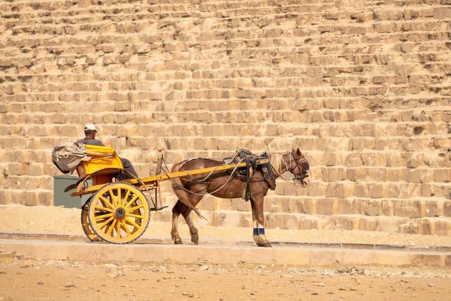 Hurghada: Full-Day Tour to Cairo by Plane with Egyptologist - Lunch in Cairo with views, not just a meal break
