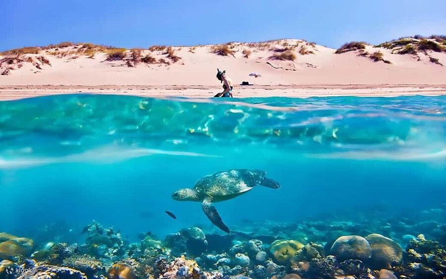 Hurghada: Giftun Island with breakfast, lunch & Water Sports - How the day starts in Hurghada, then moves out to sea