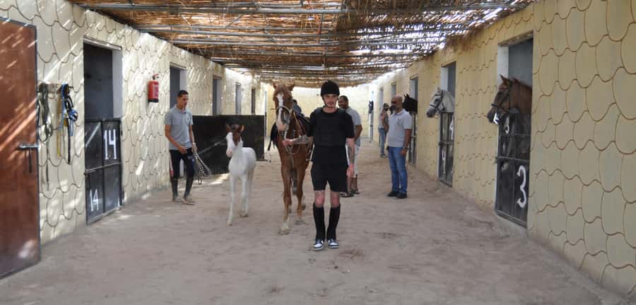 Hurghada: Horse Ride, BBQ Dinner, and Stargazing - Safety, gear, and the real desert day rhythm