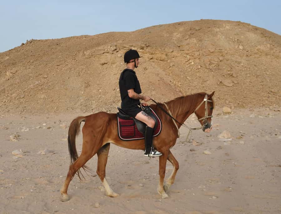 Hurghada: Horse Ride, BBQ Dinner, and Stargazing - Should you book this Hurghada horse ride and stargazing tour?