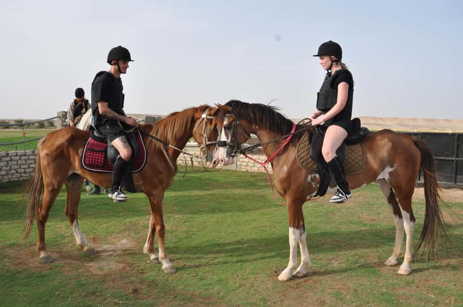 Hurghada: Horse Ride, BBQ Dinner, and Stargazing - Oasis time and the desert BBQ meal
