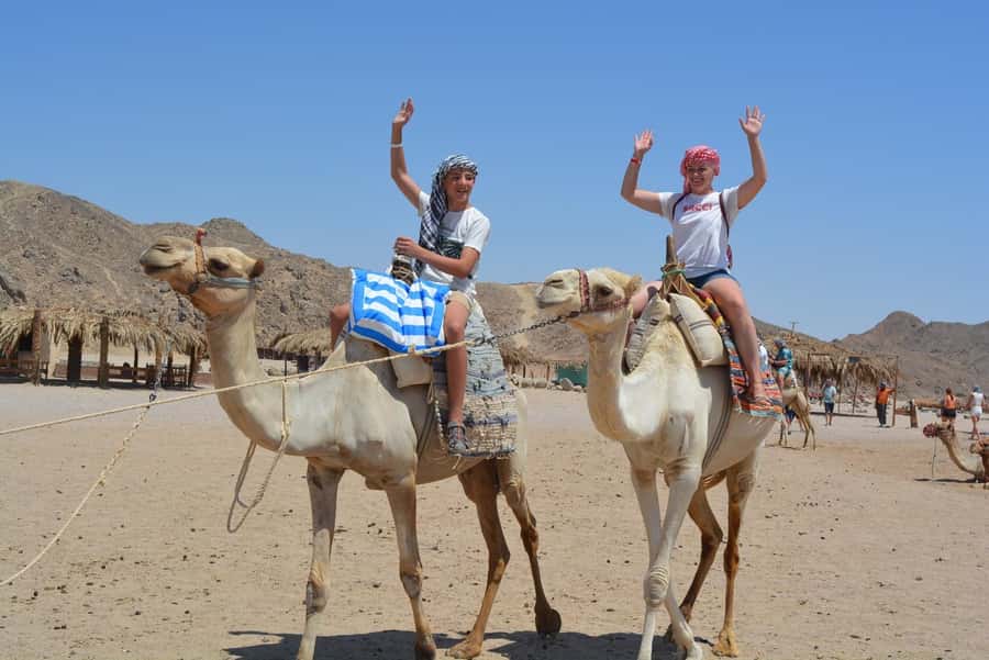 Hurghada: Jeep Safari with Camel Ride, Dinner and Show - Price and Value: Why 36 USD Can Work for Many Travelers