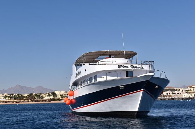 Hurghada: Luxury Cruise to Orange Bay & Hula Hula Island. - Snorkeling Support That Actually Helps: Gear, Life Jackets, and Guides