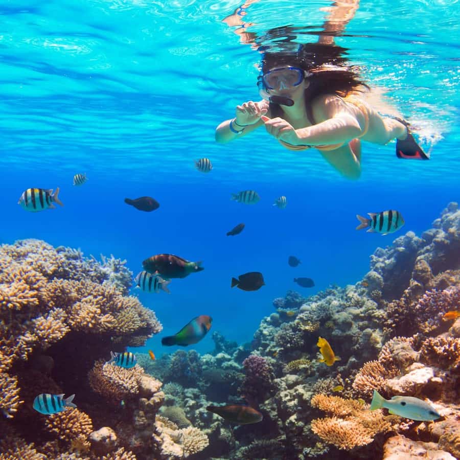 Hurghada:Luxury Diving & Snorkeling inc/Island/Lunch/Massage - Pickup in Hurghada: Less Waiting, More Time on the Water