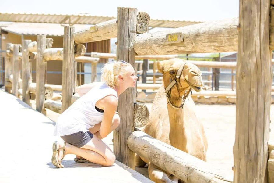 Hurghada: Mega Jeep safari, ATV & Bedouin vibe, and Dinner - Price and Value in Real Terms, What You Pay and What You Should Budget