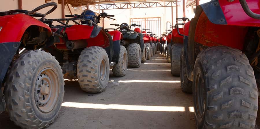 Hurghada: Morning Quad Bike Tour, Camel Ride and Transfer - Sunrise Option with Bedouin Breakfast