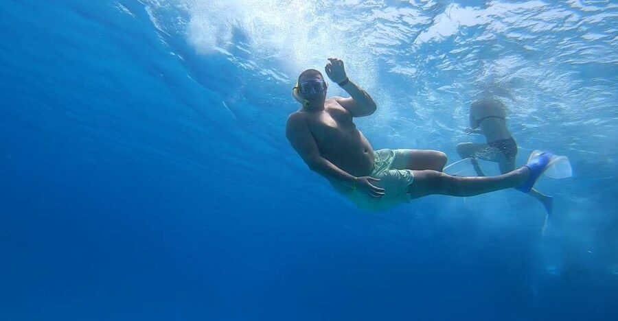 Hurghada or Makadi: Discover the Magic of Dolphin House - Quick Hits You Should Know