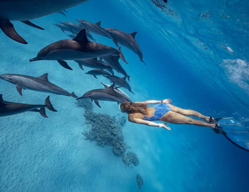 Hurghada or Makadi: Discover the Magic of Dolphin House - Dolphin House Safety Rules Are Part of the Experience