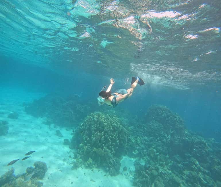 Hurghada or Makadi: Discover the Magic of Dolphin House - Sofa Boat Fun: The Water Sports Part, With Real-World Limits
