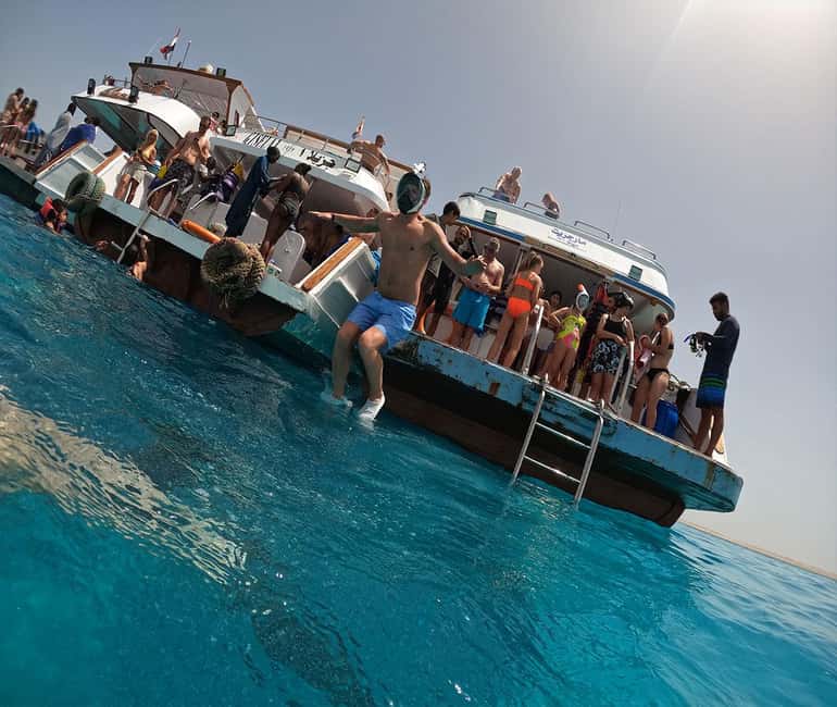 Hurghada or Makadi: Discover the Magic of Dolphin House - Pick-Up Areas and Timing: What Can Affect Your Morning