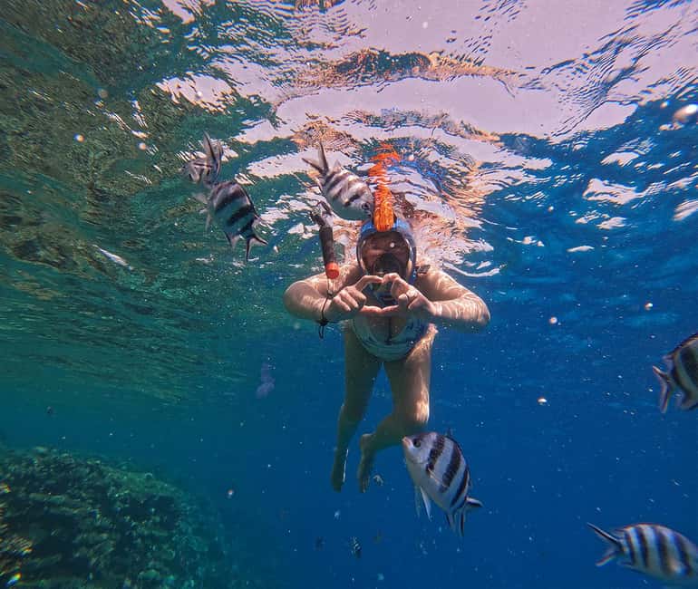 Hurghada or Makadi: Discover the Magic of Dolphin House - Who This Trip Fits Best