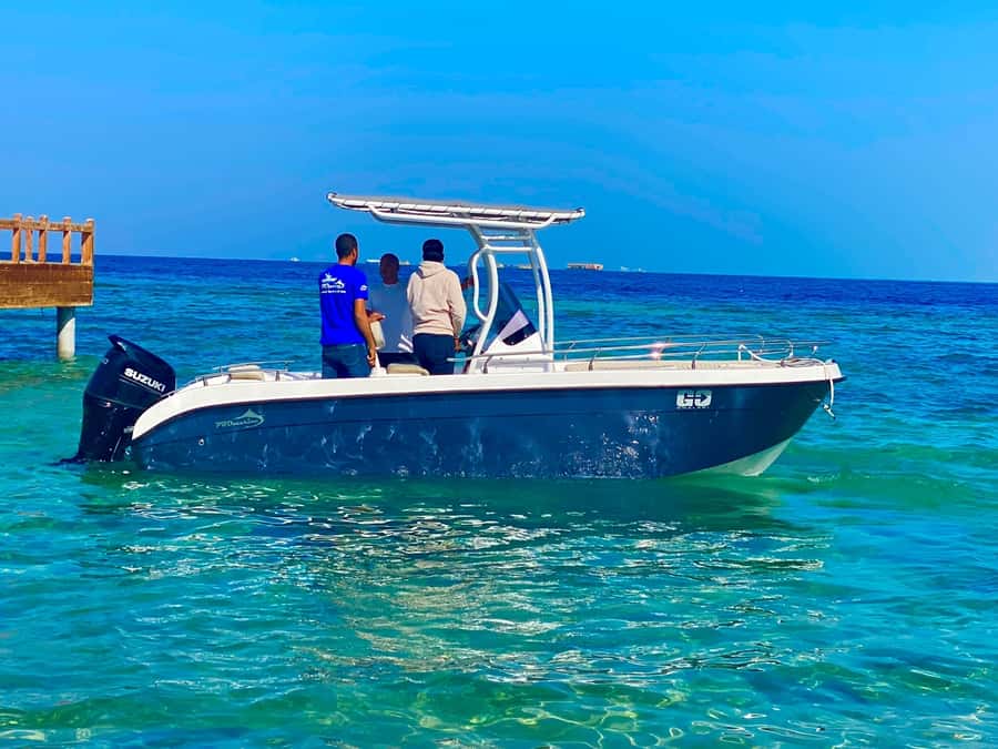 Hurghada: Orange Bay Dolphin Watching, Snorkeling & Lunch - Price and Value at About $47 Per Person