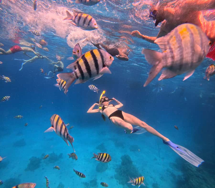 Hurghada: Orange Bay Island Boat Trip w/ Breakfast and Lunch - Ship Comfort Details That Actually Matter