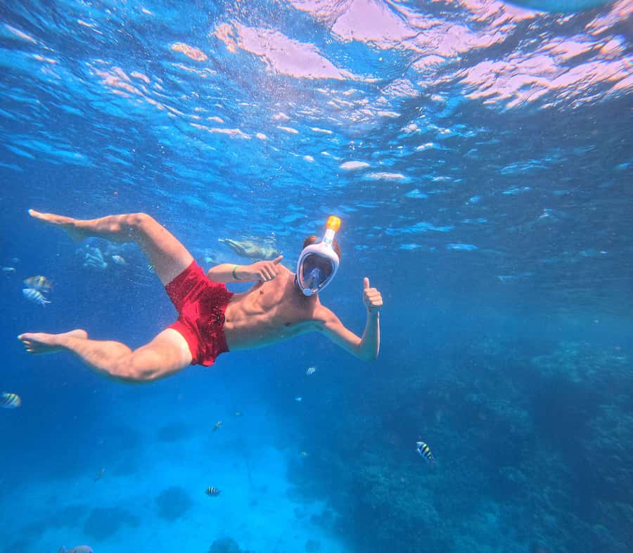 Hurghada: Orange Bay Island with breakfast, lunch & watersports - Snorkeling in the Red Sea: two stops, gear provided, support for non-swimmers