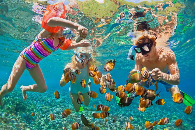Hurghada Paradise Conquest Semi Submarine Snorkeling Trip - Key things to know before you go