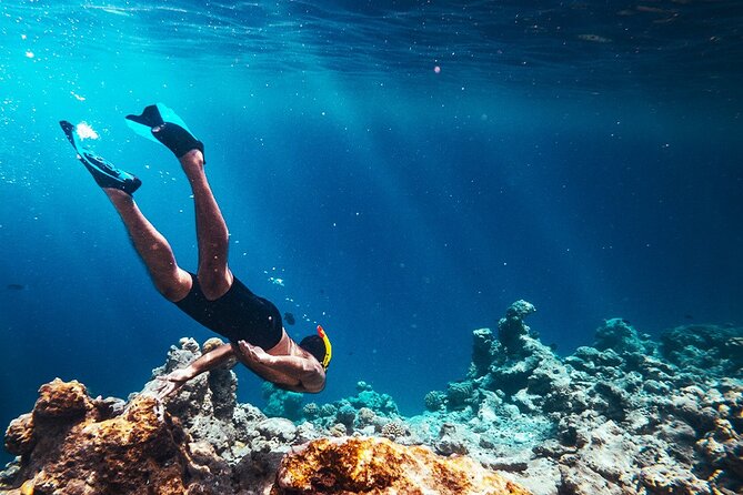 Hurghada Paradise Conquest Semi Submarine Snorkeling Trip - Should You Book Hurghada Paradise Conquest Semi Submarine Snorkeling?