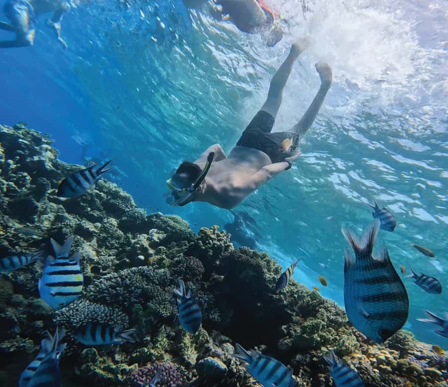 Hurghada: Premium Orange Island Cruise with Lunch & Transfer - On the boat: comfort, toilets, and the staff vibe