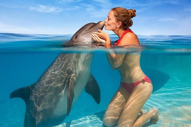 Hurghada: Private 4 Hours Speedboat Dolphin House Snorkling Tour - Dolphin House, Paradise Island, or Orange Bay Island: your choice changes the whole day